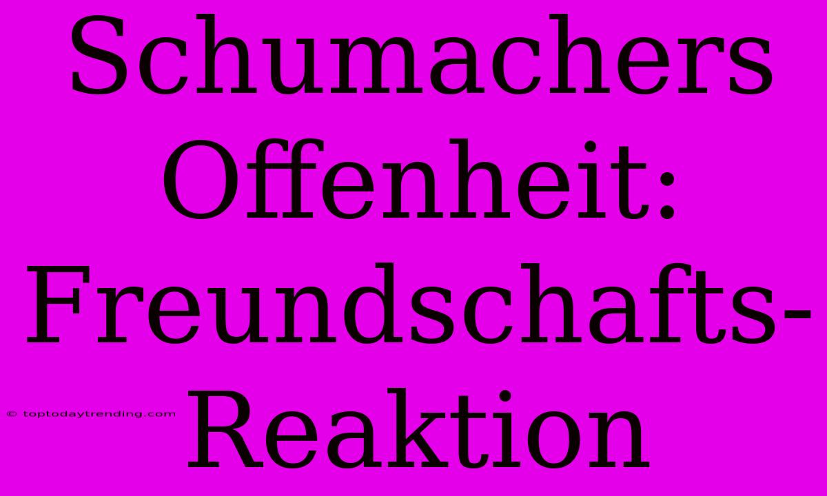 Schumachers Offenheit: Freundschafts-Reaktion