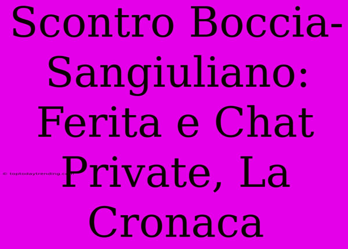 Scontro Boccia-Sangiuliano: Ferita E Chat Private, La Cronaca