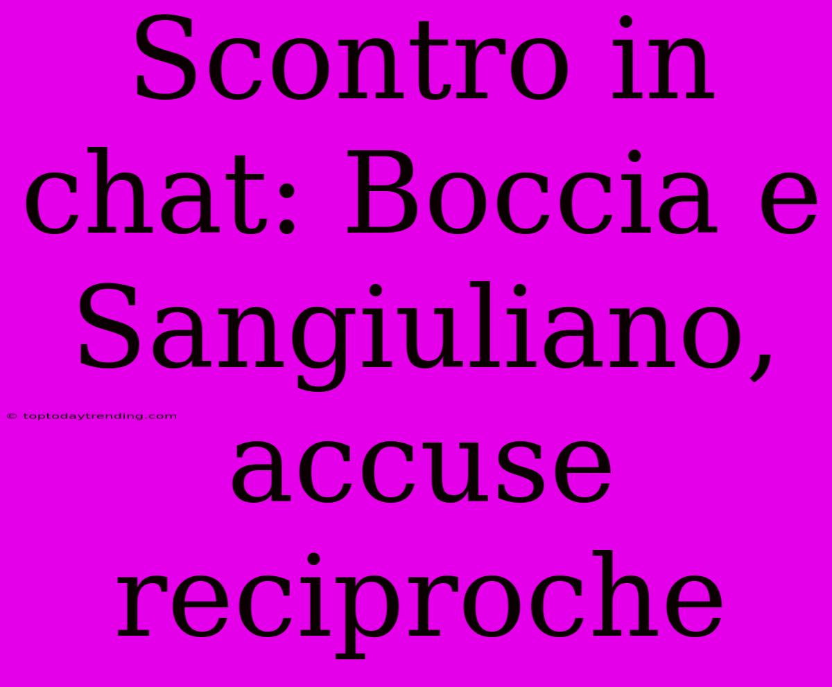 Scontro In Chat: Boccia E Sangiuliano, Accuse Reciproche