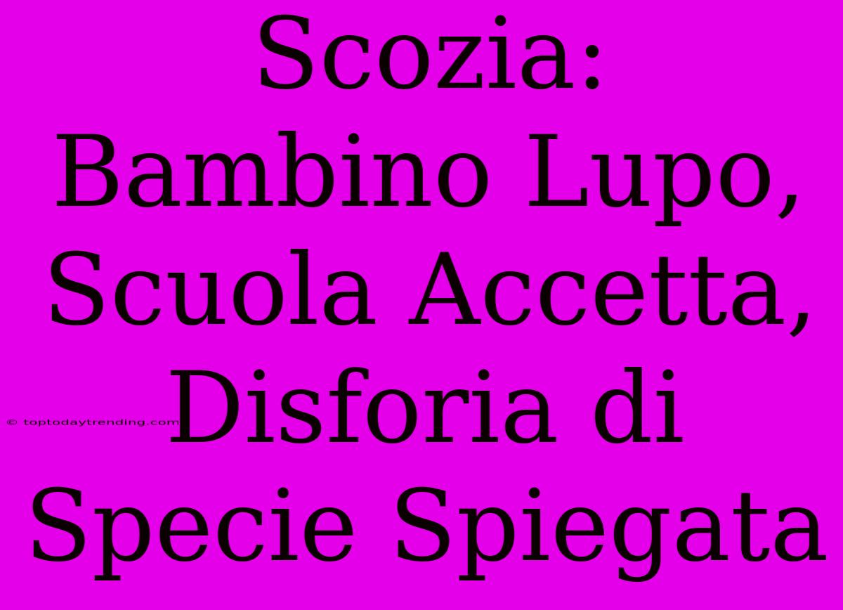 Scozia: Bambino Lupo, Scuola Accetta, Disforia Di Specie Spiegata