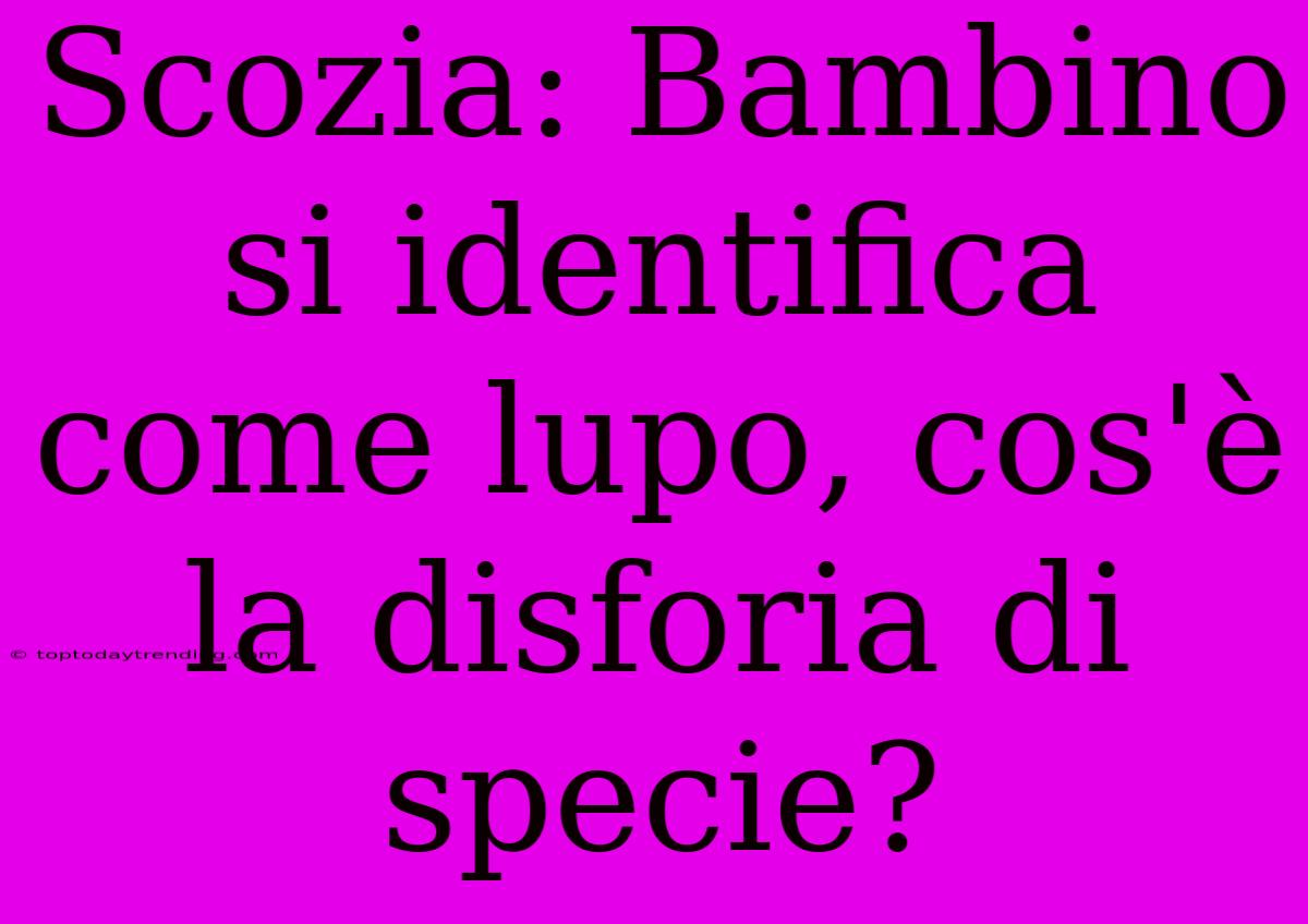 Scozia: Bambino Si Identifica Come Lupo, Cos'è La Disforia Di Specie?