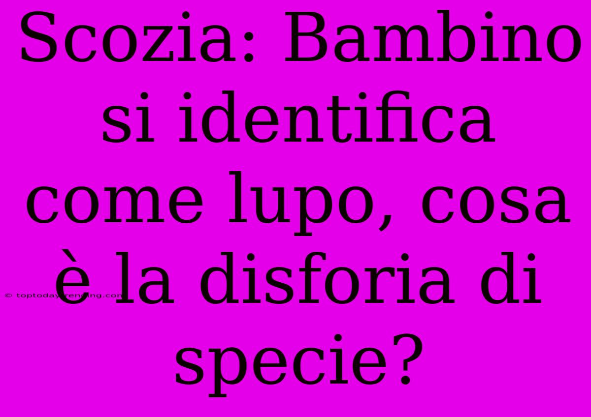 Scozia: Bambino Si Identifica Come Lupo, Cosa È La Disforia Di Specie?