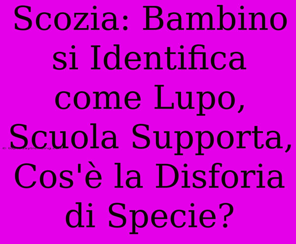 Scozia: Bambino Si Identifica Come Lupo, Scuola Supporta, Cos'è La Disforia Di Specie?