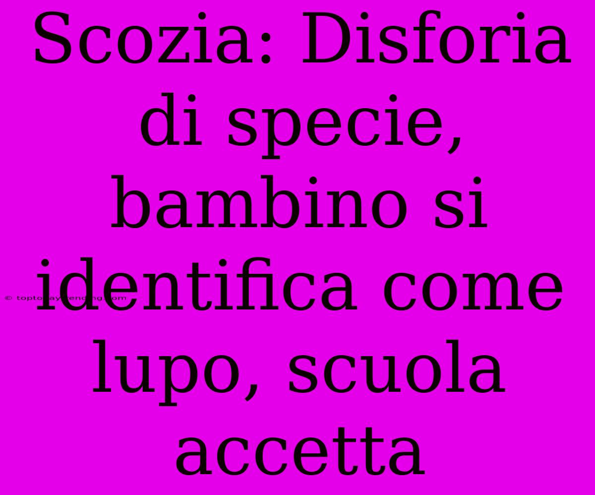 Scozia: Disforia Di Specie, Bambino Si Identifica Come Lupo, Scuola Accetta