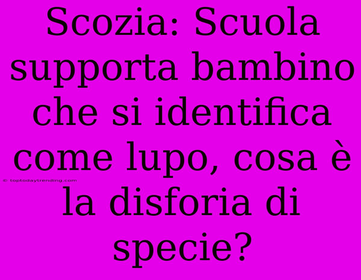 Scozia: Scuola Supporta Bambino Che Si Identifica Come Lupo, Cosa È La Disforia Di Specie?