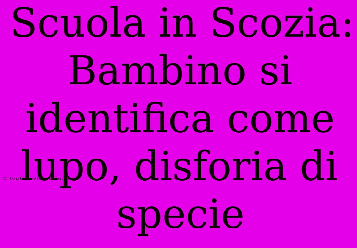 Scuola In Scozia: Bambino Si Identifica Come Lupo, Disforia Di Specie