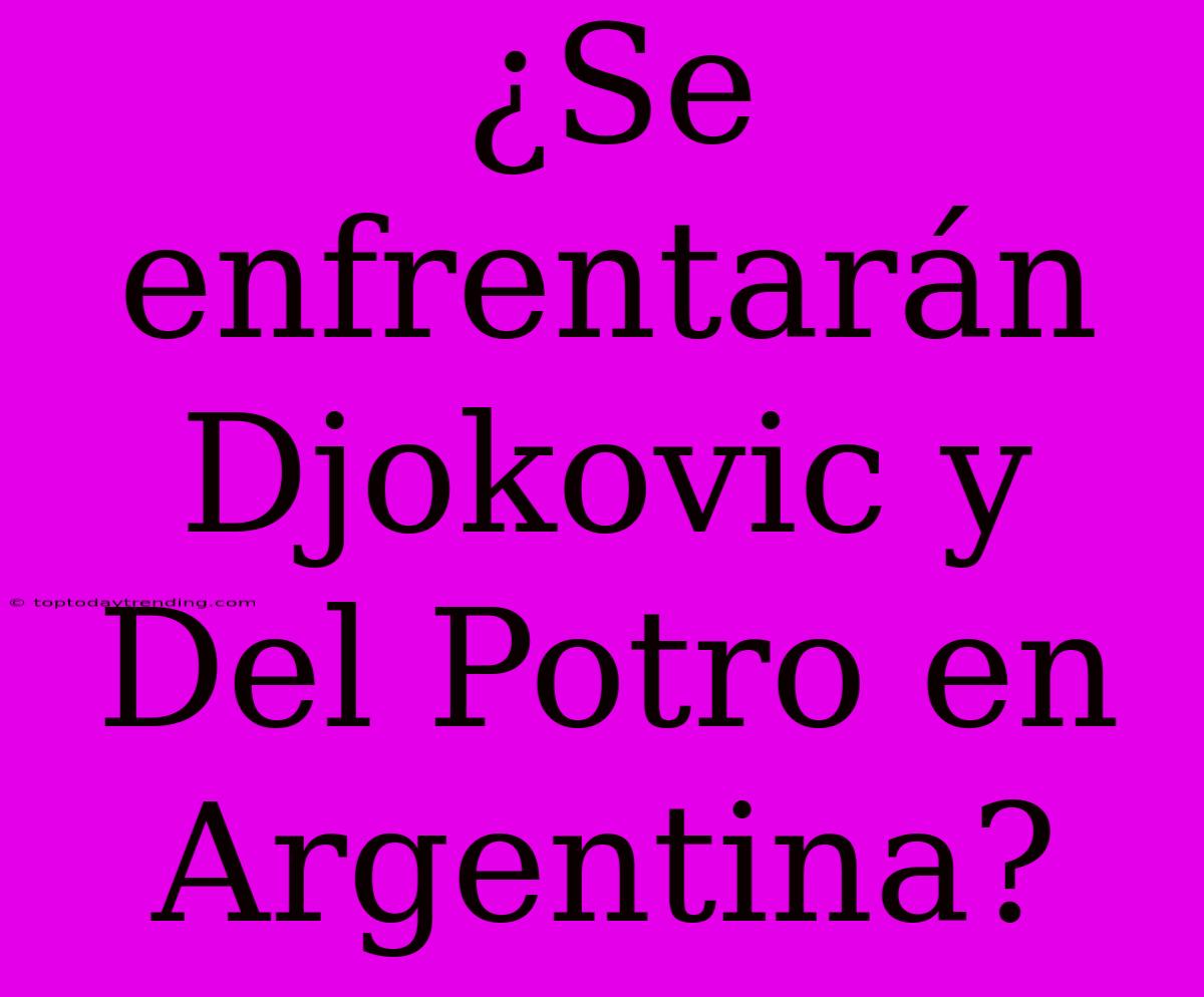 ¿Se Enfrentarán Djokovic Y Del Potro En Argentina?