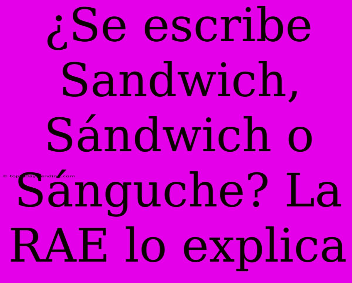 ¿Se Escribe Sandwich, Sándwich O Sánguche? La RAE Lo Explica