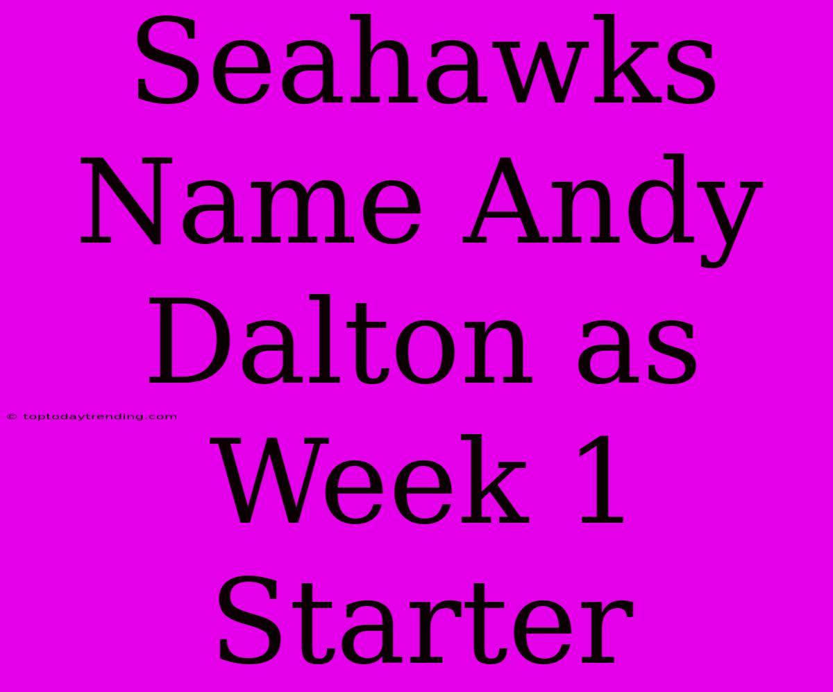 Seahawks Name Andy Dalton As Week 1 Starter