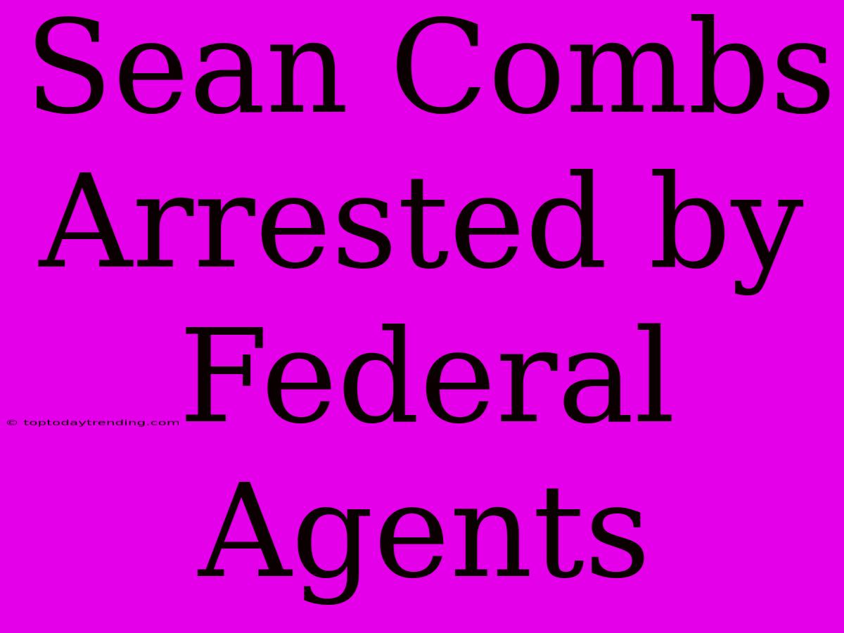 Sean Combs Arrested By Federal Agents