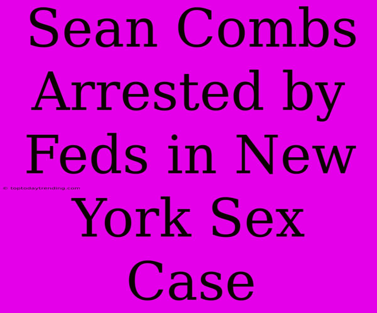 Sean Combs Arrested By Feds In New York Sex Case