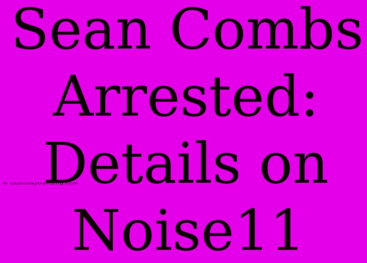 Sean Combs Arrested: Details On Noise11