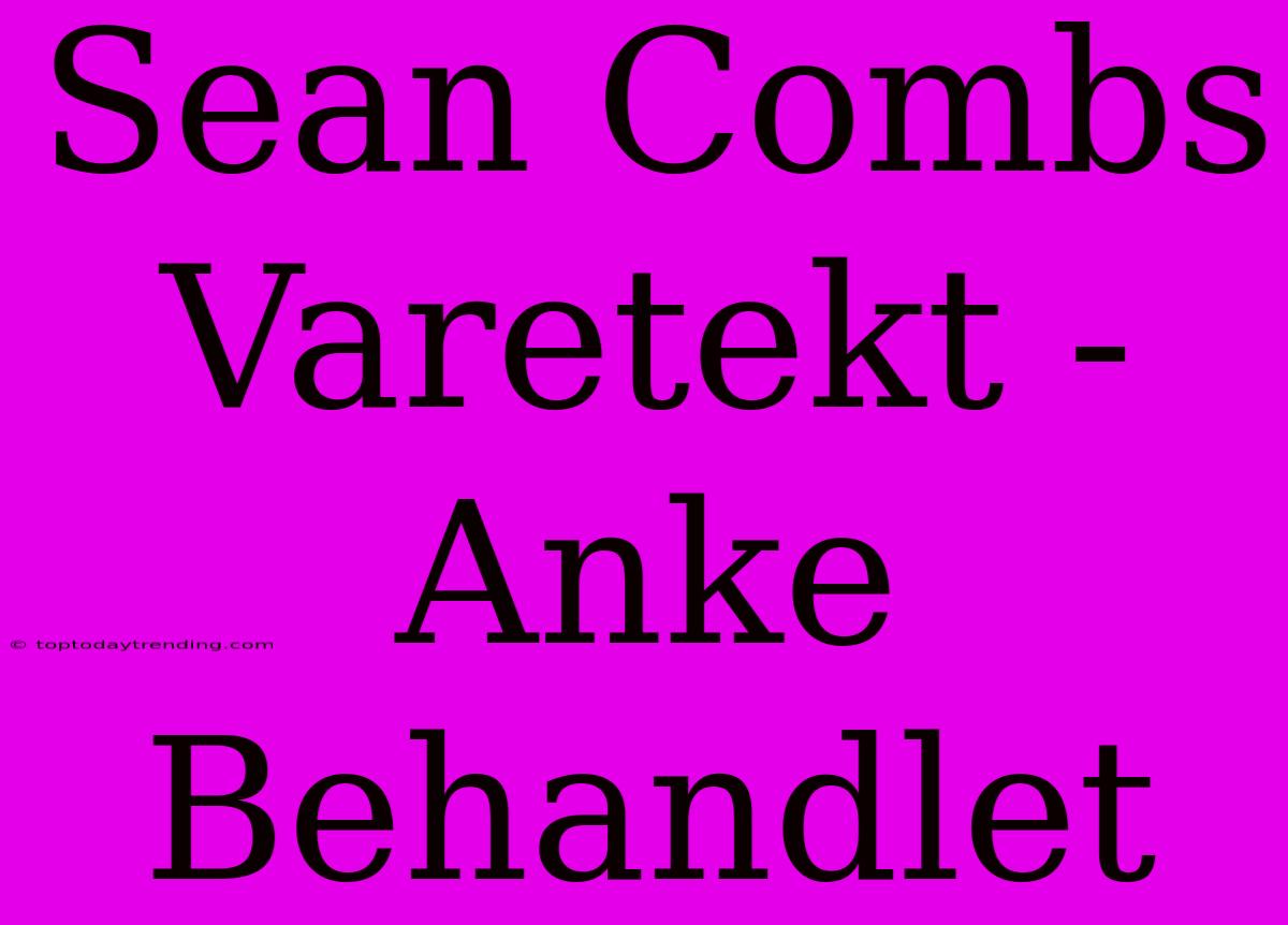 Sean Combs Varetekt - Anke Behandlet