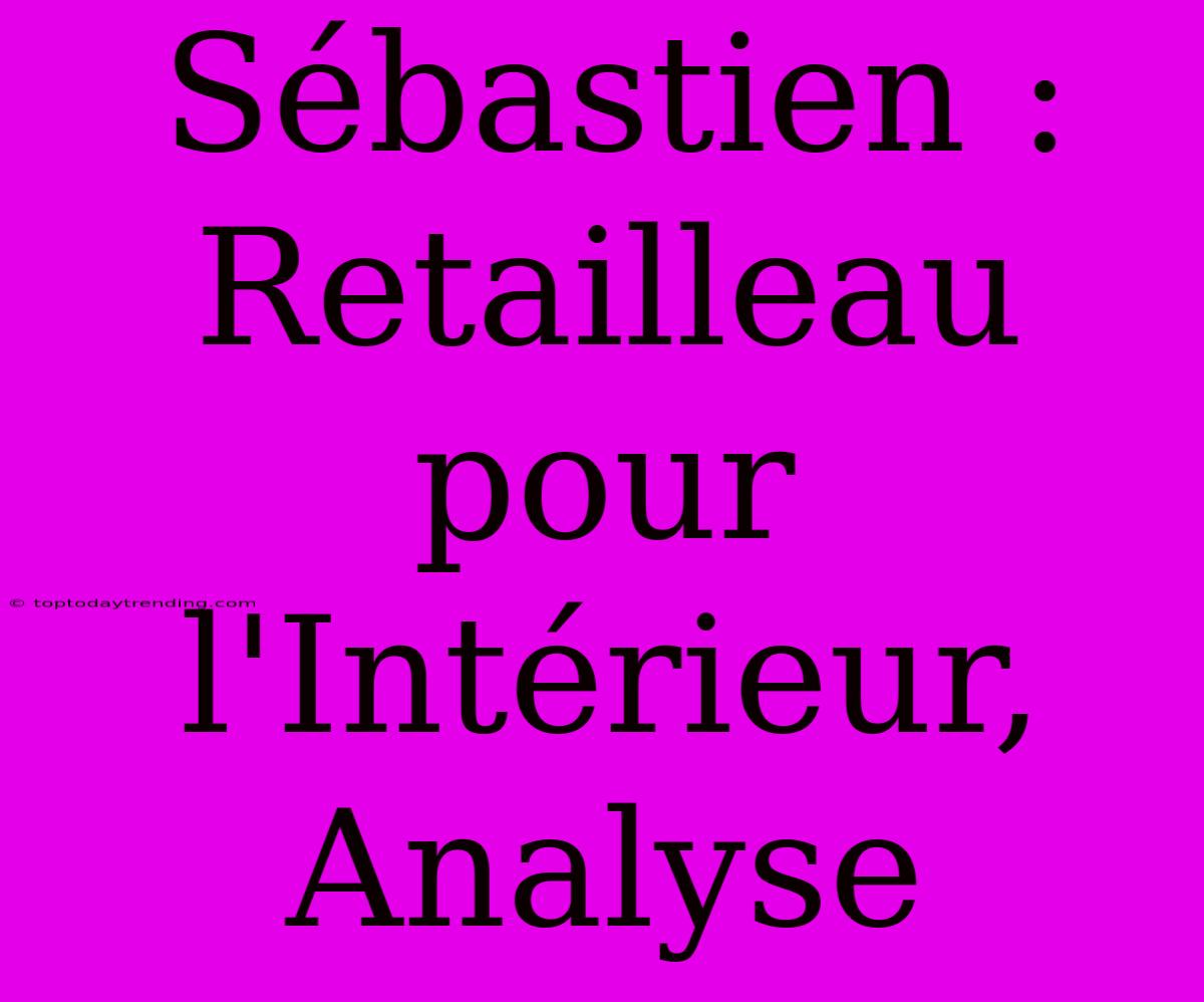 Sébastien : Retailleau Pour L'Intérieur, Analyse