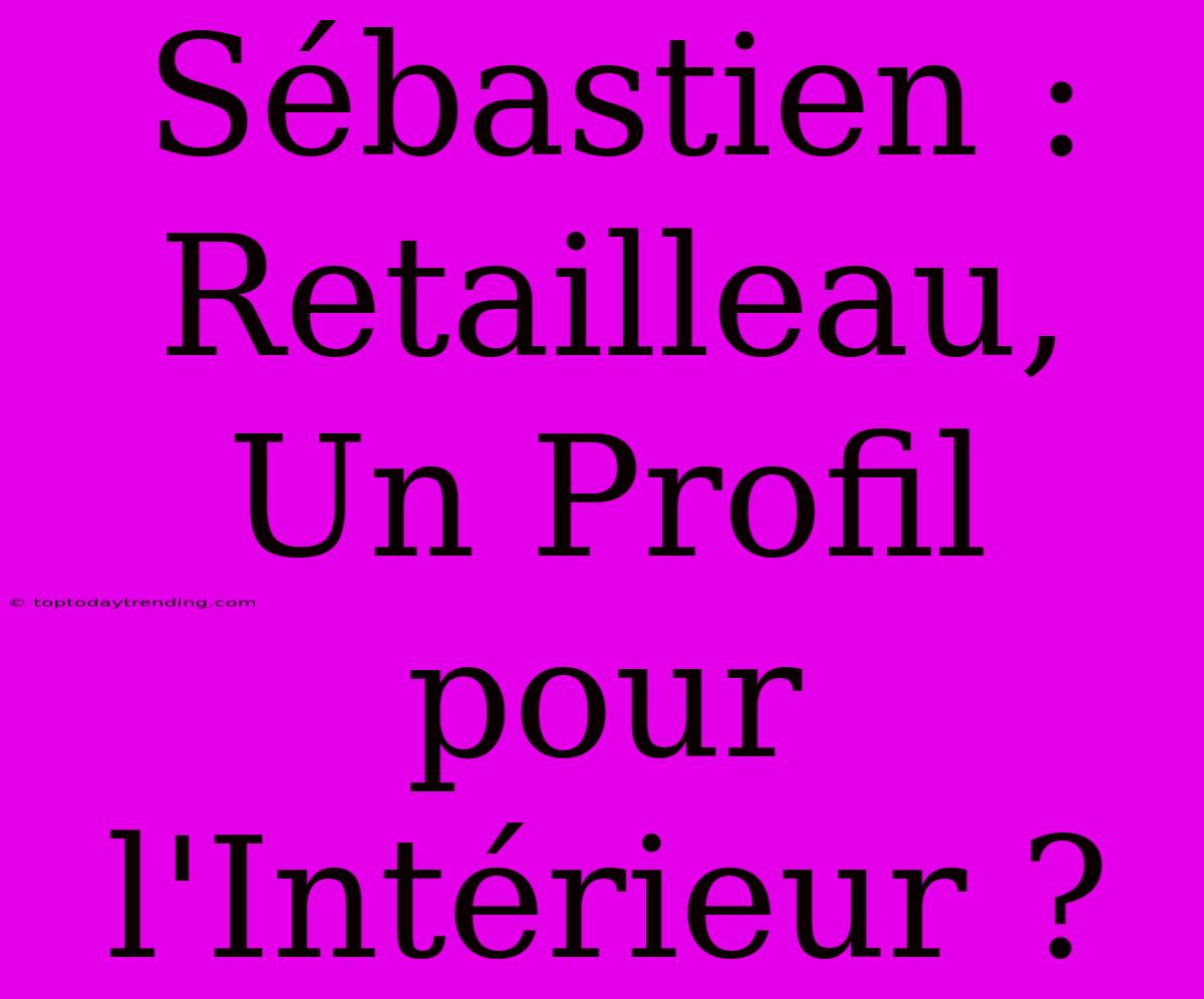 Sébastien : Retailleau, Un Profil Pour L'Intérieur ?