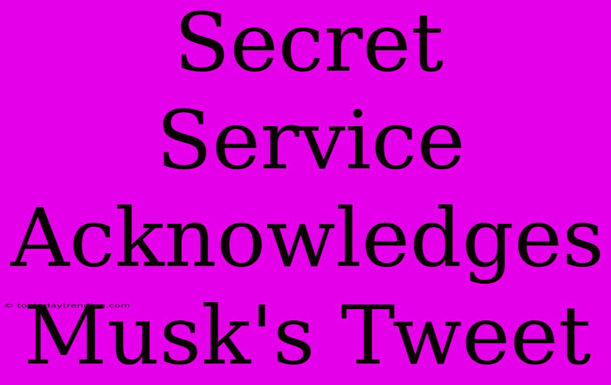 Secret Service Acknowledges Musk's Tweet