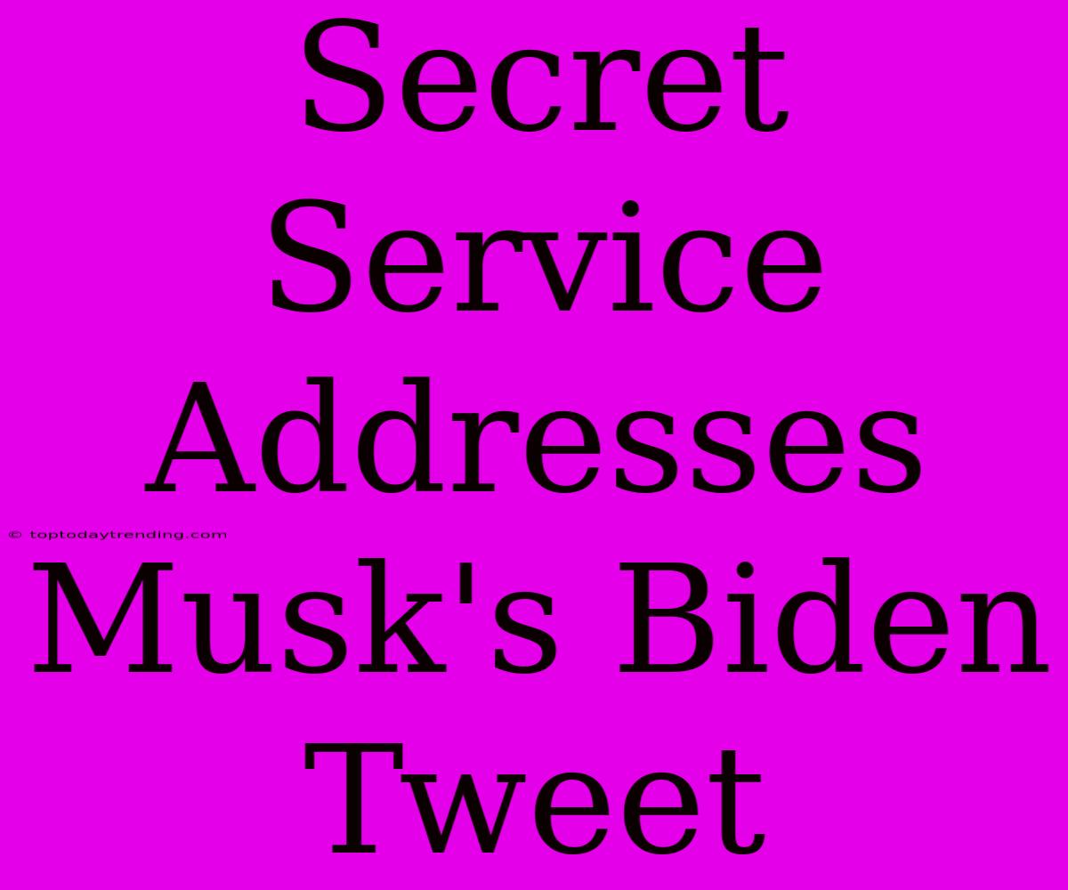 Secret Service Addresses Musk's Biden Tweet