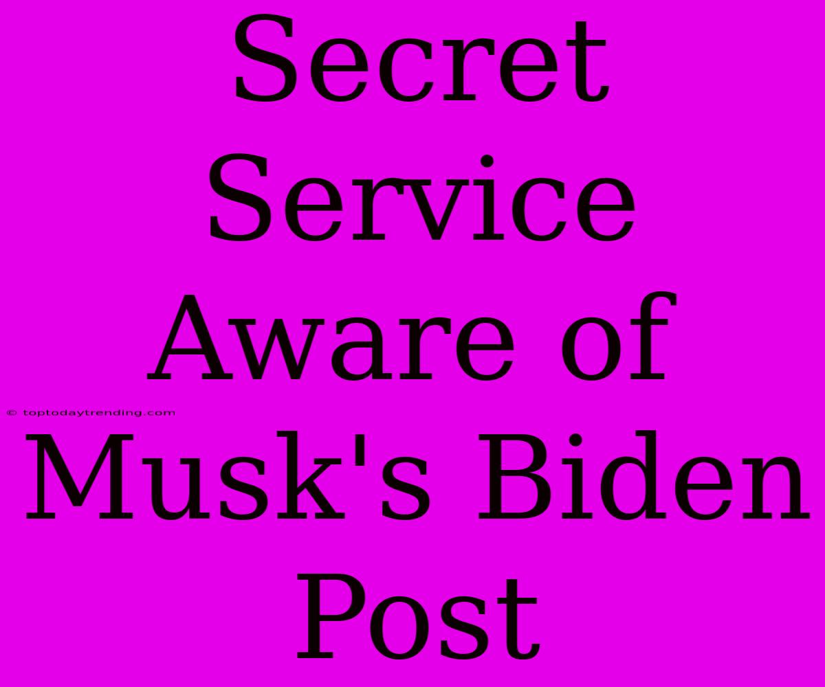 Secret Service Aware Of Musk's Biden Post