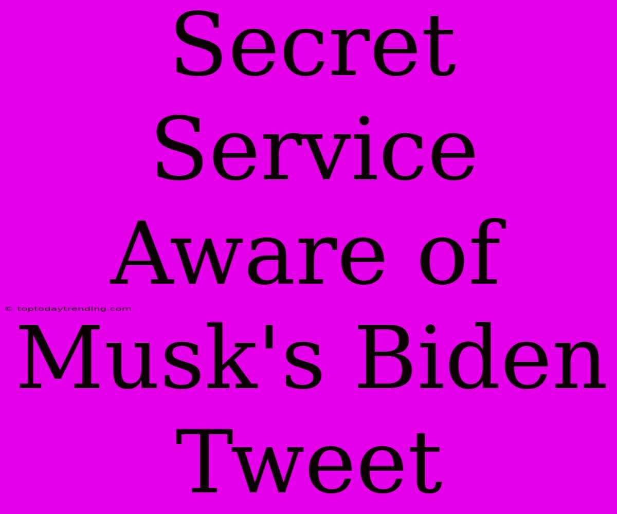 Secret Service Aware Of Musk's Biden Tweet