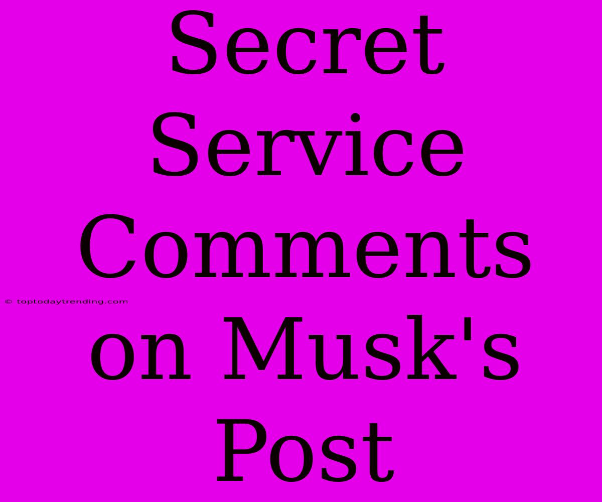 Secret Service Comments On Musk's Post