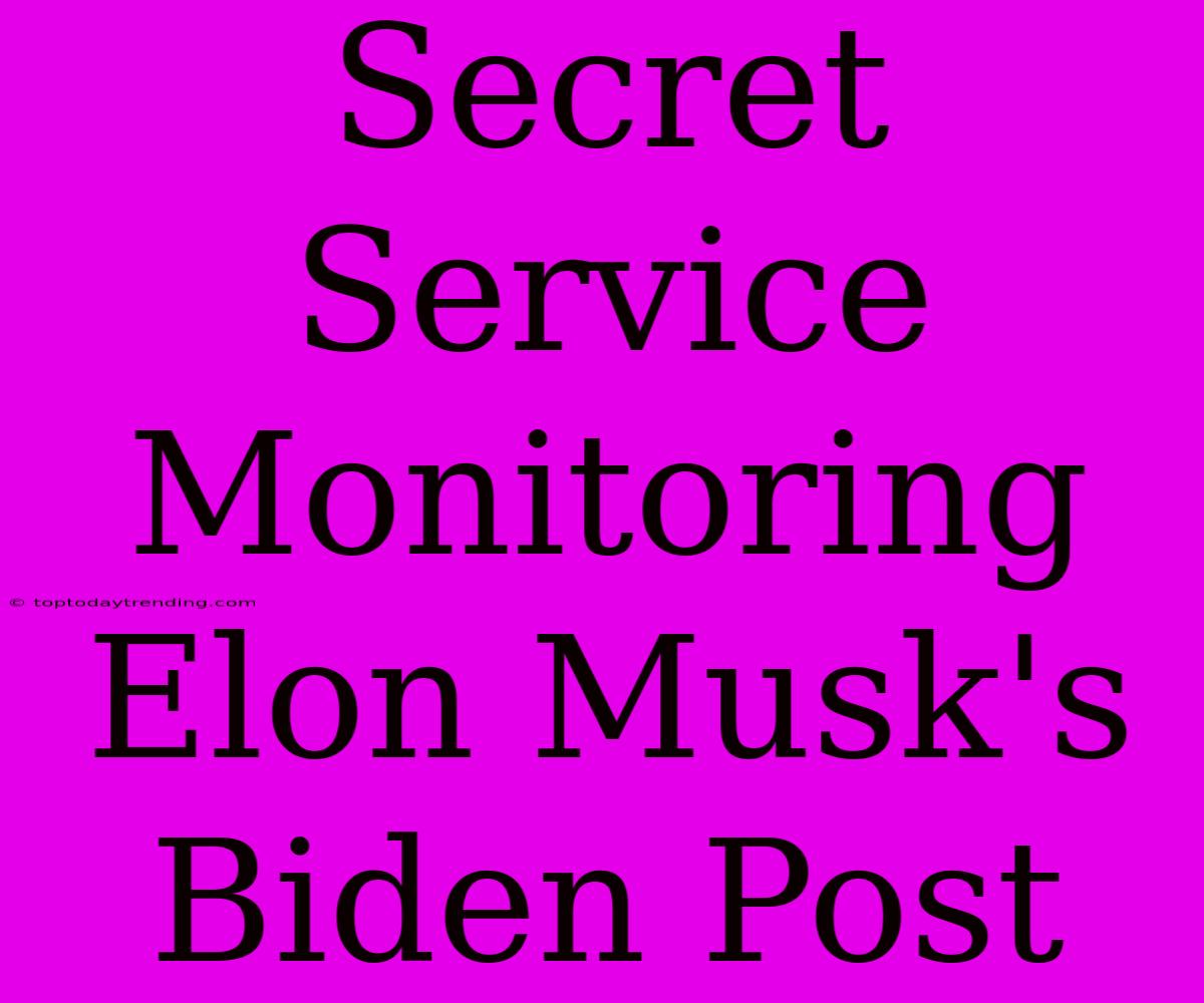 Secret Service Monitoring Elon Musk's Biden Post