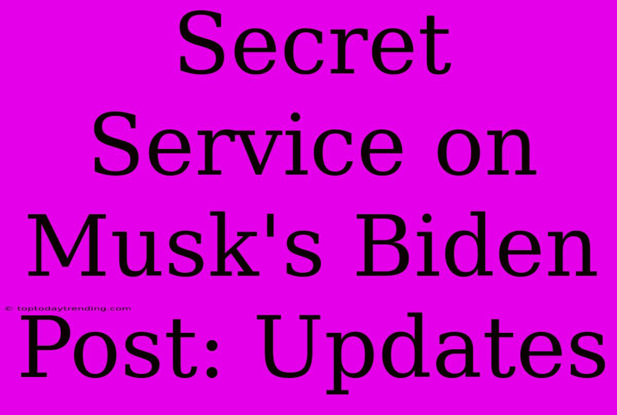 Secret Service On Musk's Biden Post: Updates