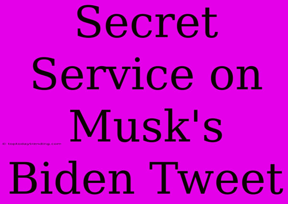 Secret Service On Musk's Biden Tweet