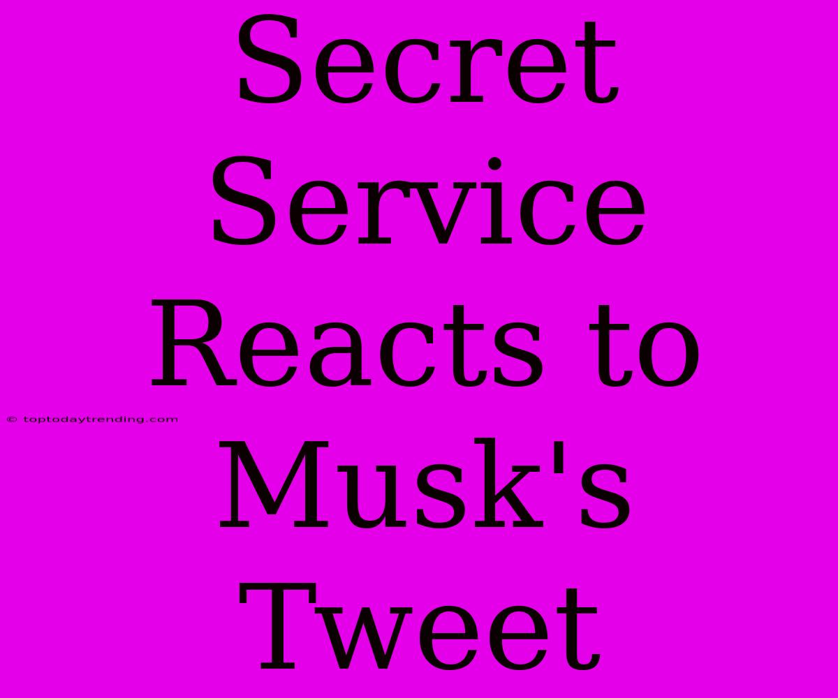 Secret Service Reacts To Musk's Tweet