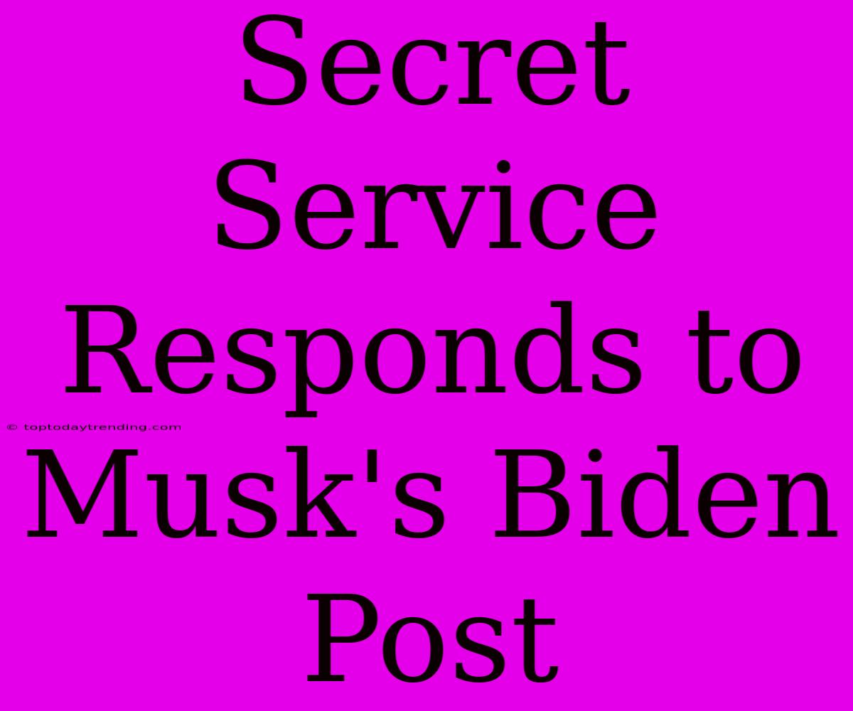 Secret Service Responds To Musk's Biden Post