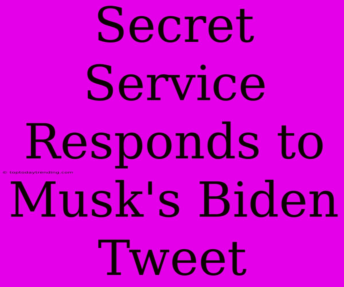 Secret Service Responds To Musk's Biden Tweet