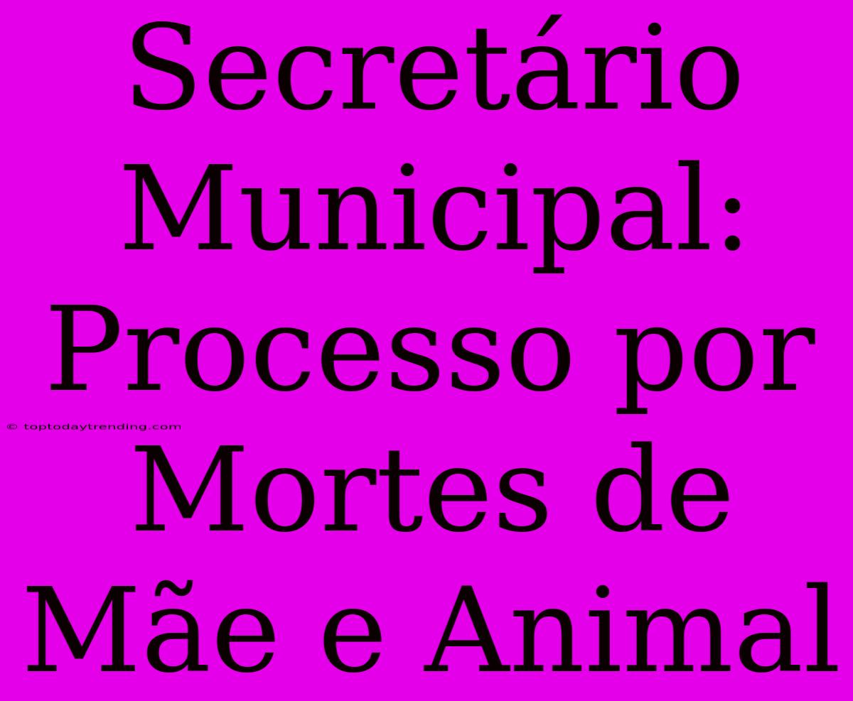 Secretário Municipal: Processo Por Mortes De Mãe E Animal