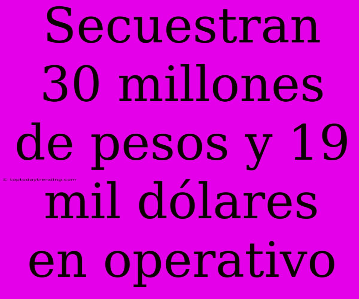 Secuestran 30 Millones De Pesos Y 19 Mil Dólares En Operativo