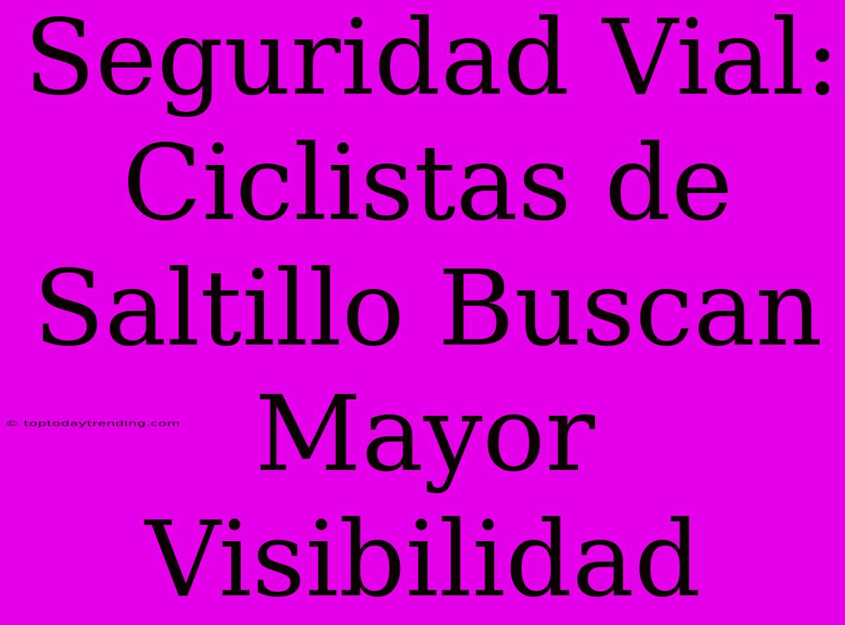 Seguridad Vial: Ciclistas De Saltillo Buscan Mayor Visibilidad