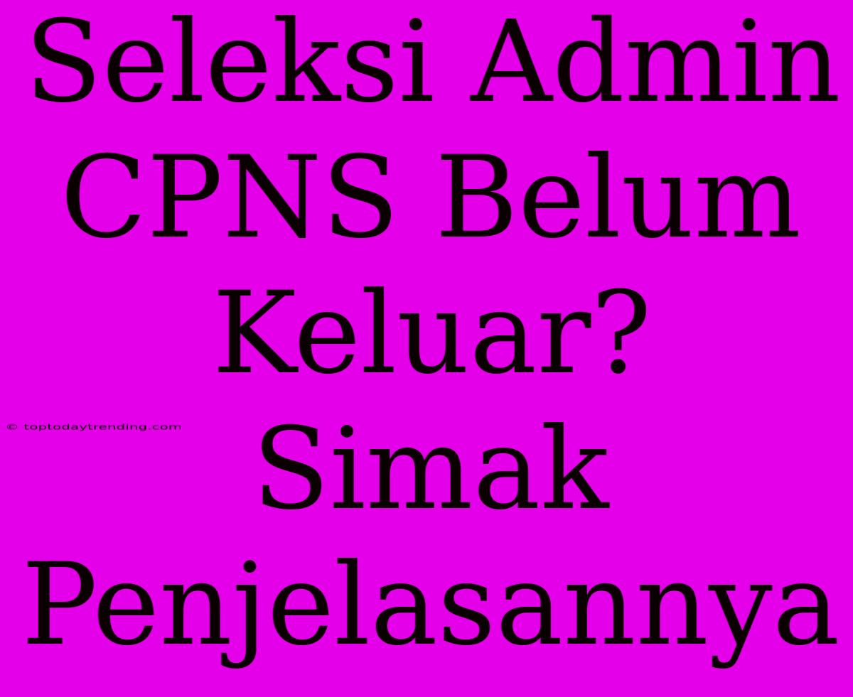 Seleksi Admin CPNS Belum Keluar? Simak Penjelasannya