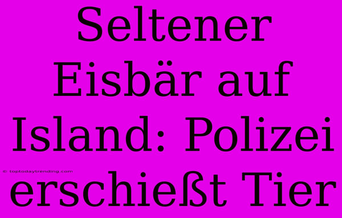 Seltener Eisbär Auf Island: Polizei Erschießt Tier