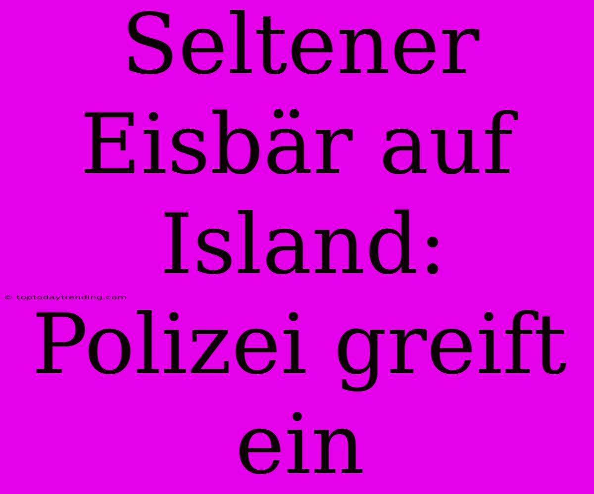 Seltener Eisbär Auf Island: Polizei Greift Ein