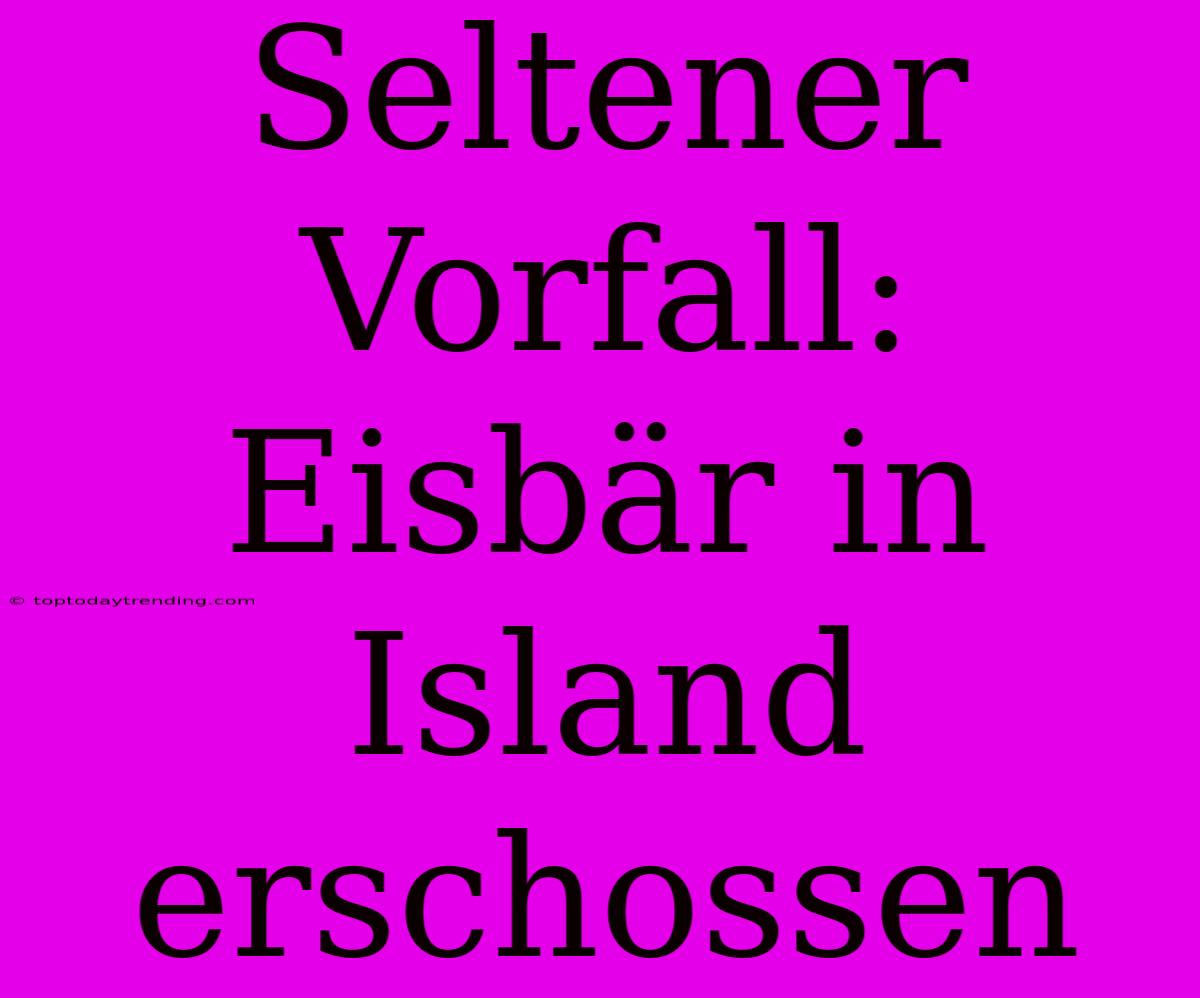 Seltener Vorfall: Eisbär In Island Erschossen