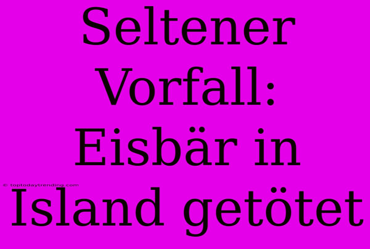 Seltener Vorfall: Eisbär In Island Getötet