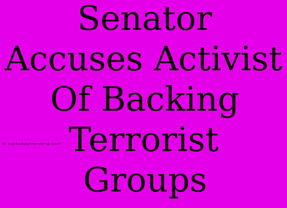 Senator Accuses Activist Of Backing Terrorist Groups