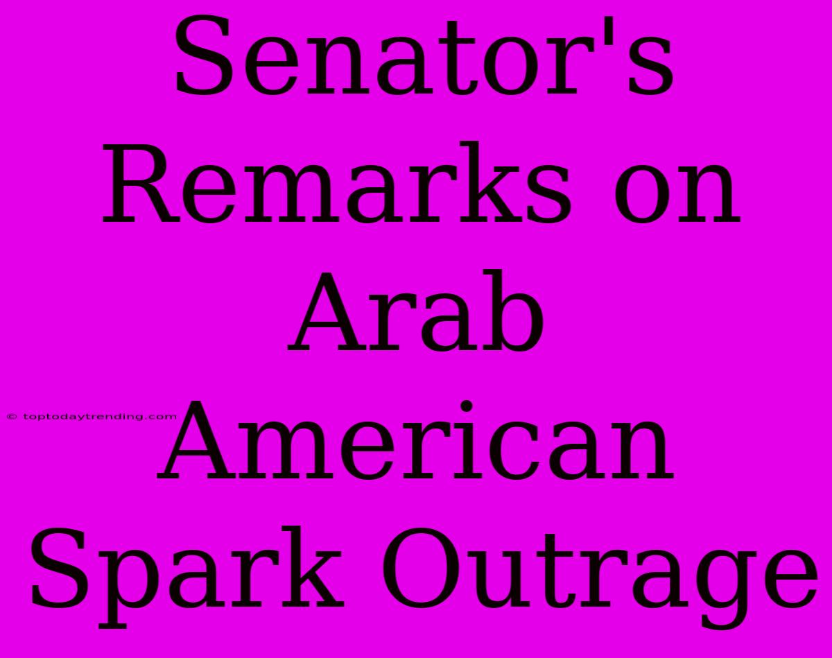 Senator's Remarks On Arab American Spark Outrage