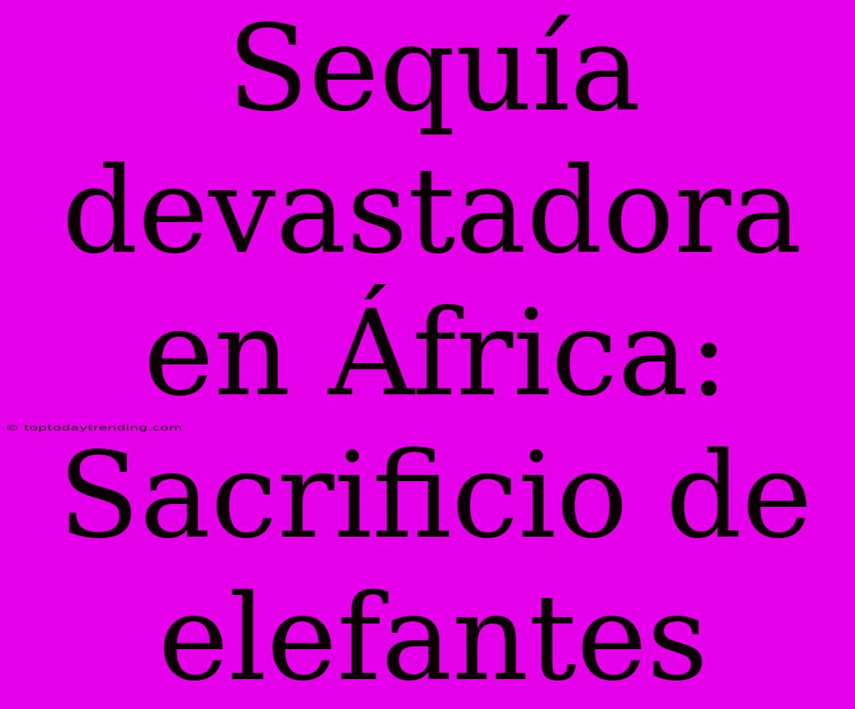 Sequía Devastadora En África: Sacrificio De Elefantes