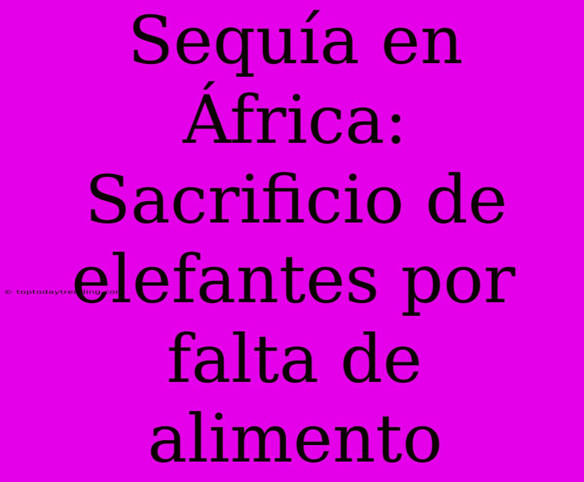 Sequía En África: Sacrificio De Elefantes Por Falta De Alimento