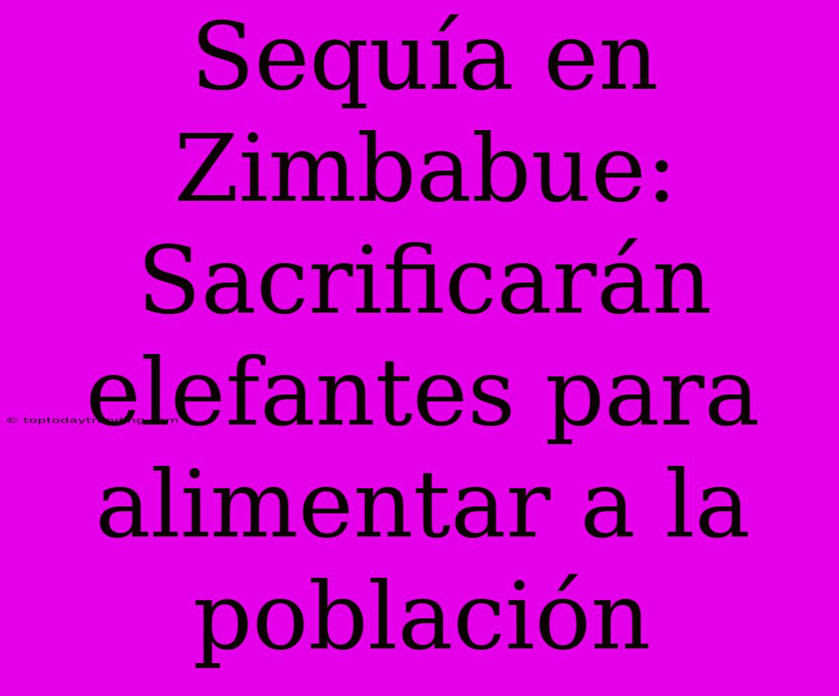 Sequía En Zimbabue: Sacrificarán Elefantes Para Alimentar A La Población