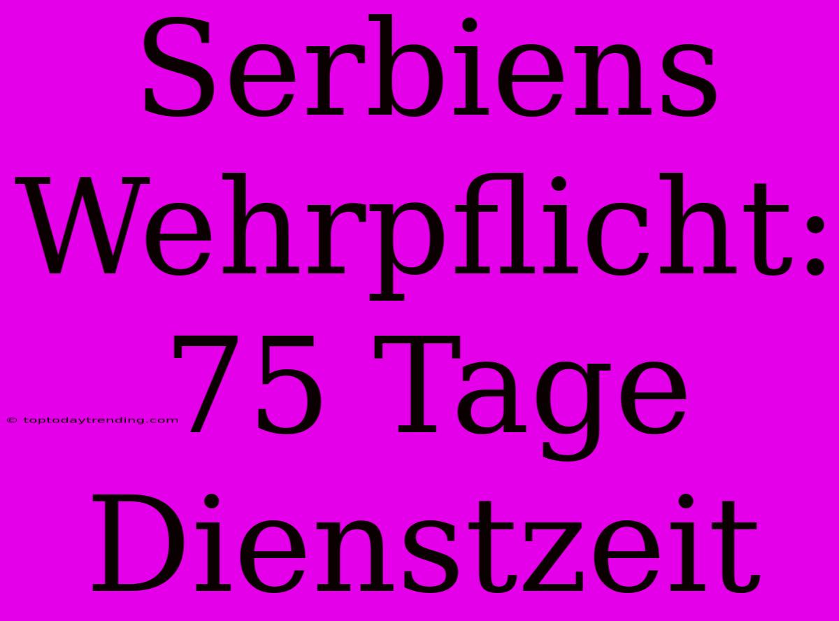 Serbiens Wehrpflicht: 75 Tage Dienstzeit