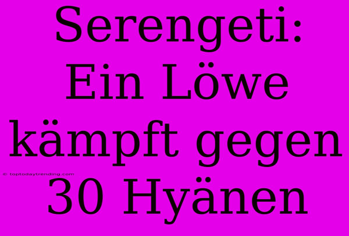 Serengeti: Ein Löwe Kämpft Gegen 30 Hyänen