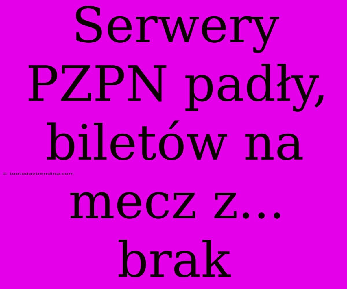 Serwery PZPN Padły, Biletów Na Mecz Z... Brak