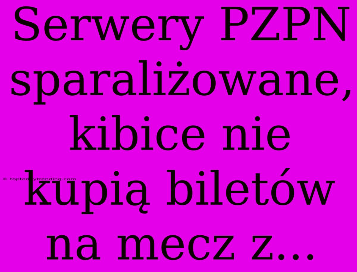 Serwery PZPN Sparaliżowane, Kibice Nie Kupią Biletów Na Mecz Z...