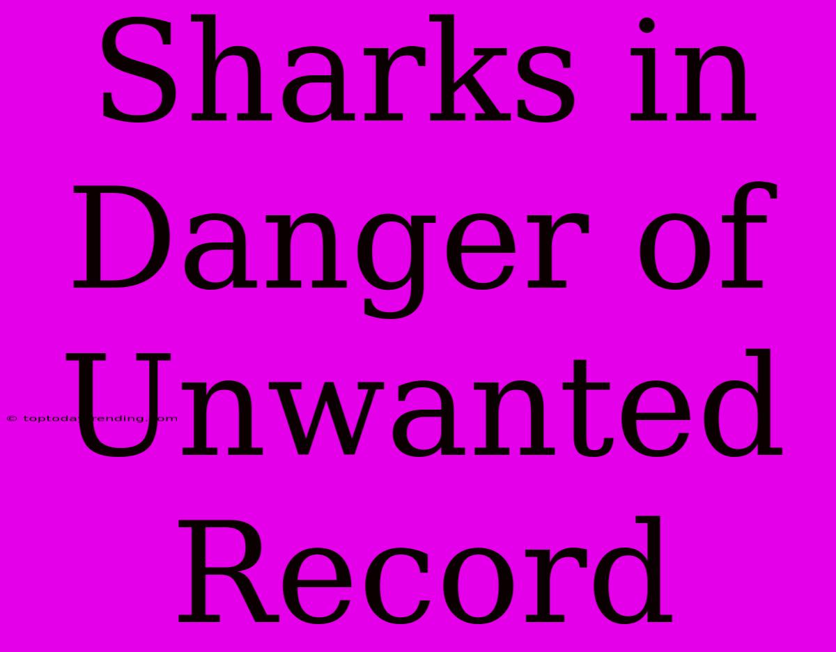 Sharks In Danger Of Unwanted Record