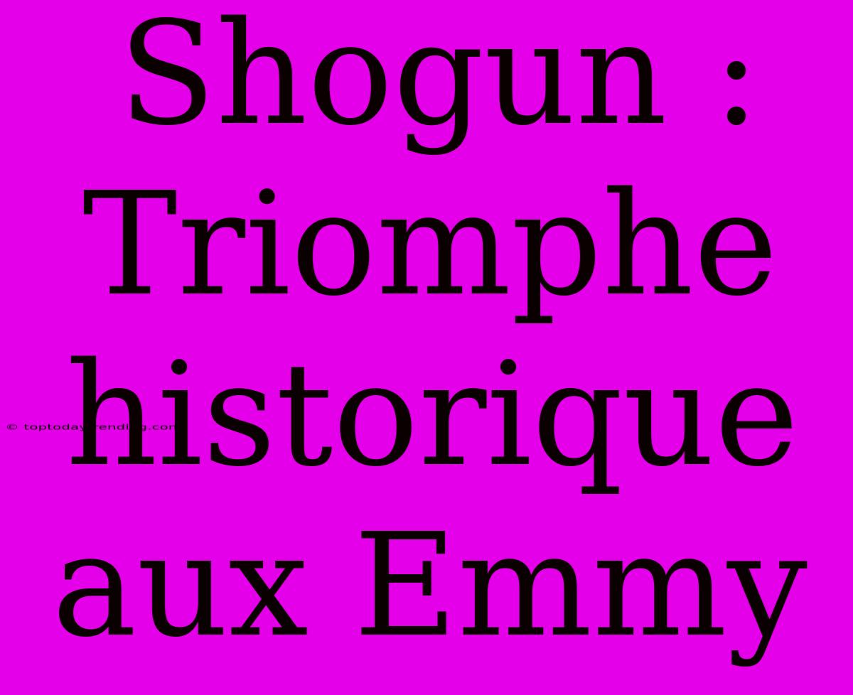 Shogun : Triomphe Historique Aux Emmy