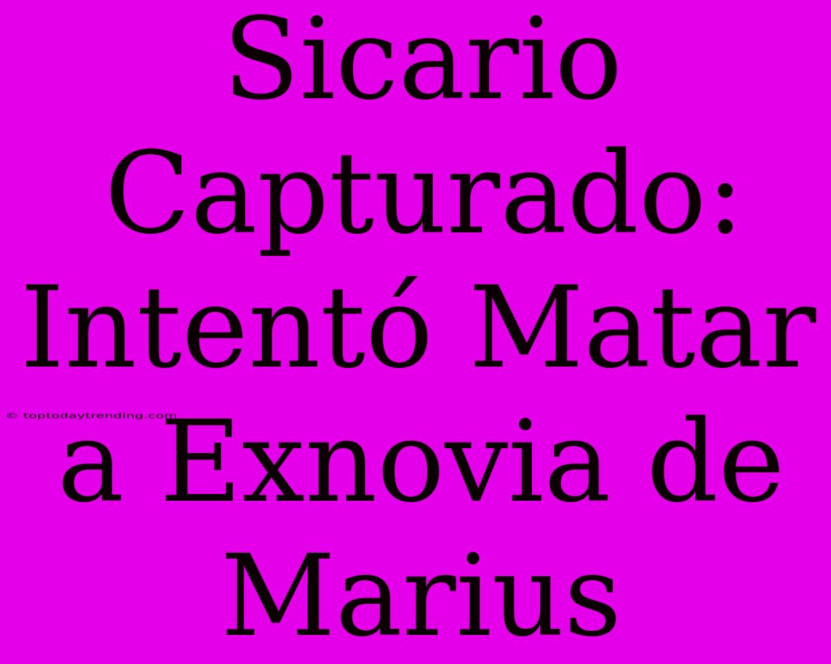 Sicario Capturado: Intentó Matar A Exnovia De Marius